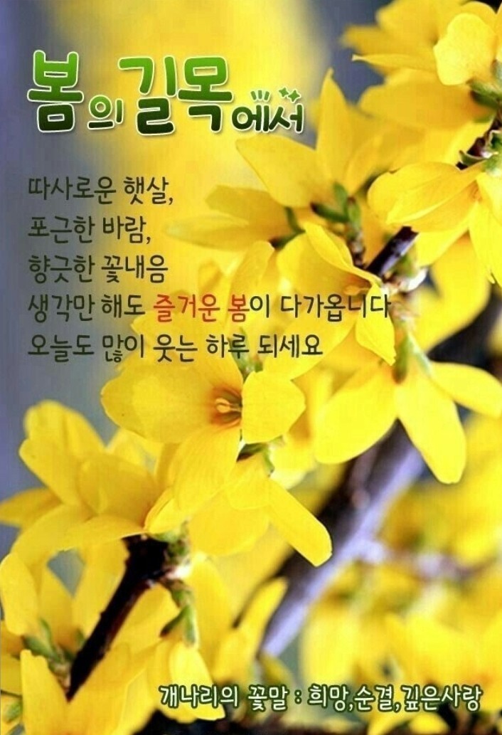 재미로2 이미지
