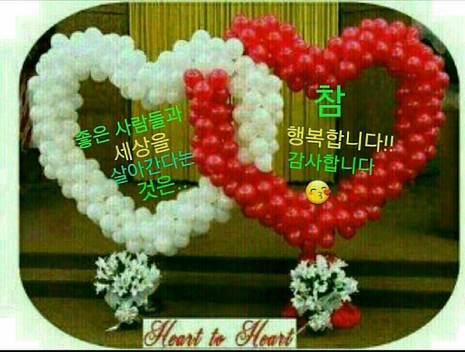 해요 이미지