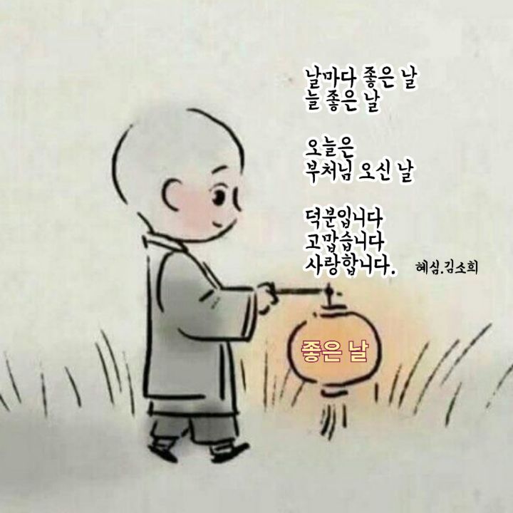 보슬비 이미지
