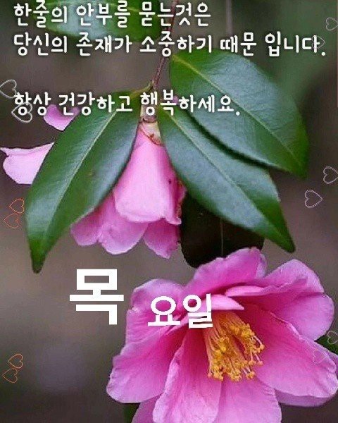 해피데이 이미지