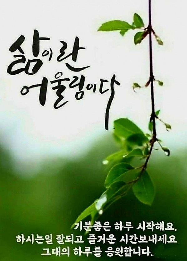 티끌모아태산 이미지
