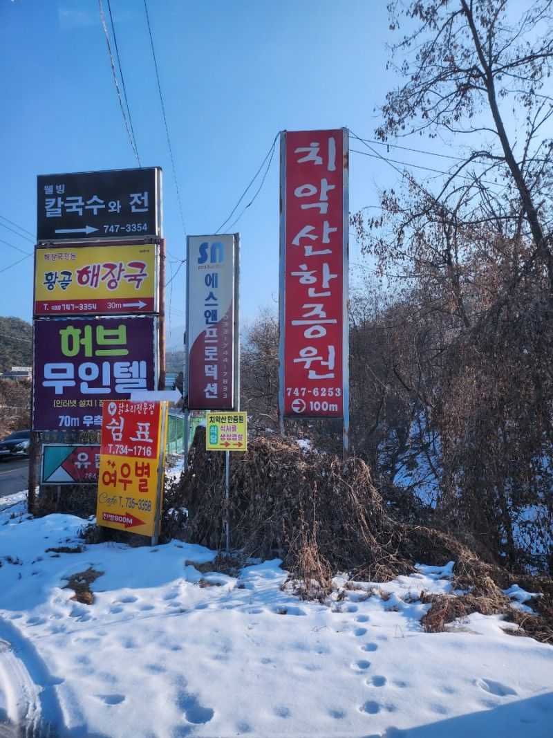 온하루 이미지