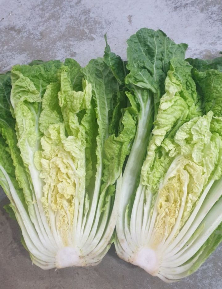 청방 이미지