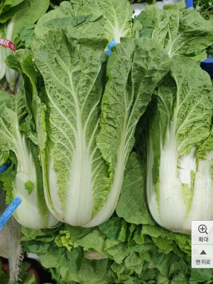 청방 이미지