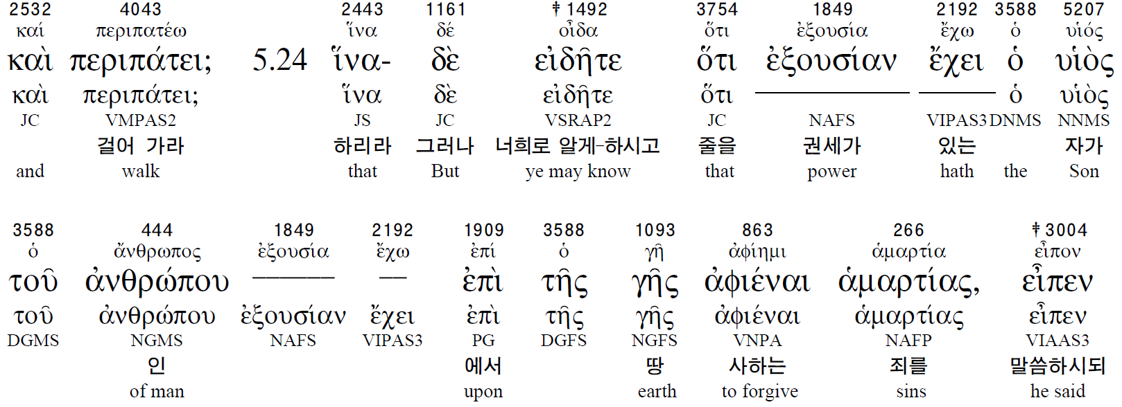 브살렐 이미지