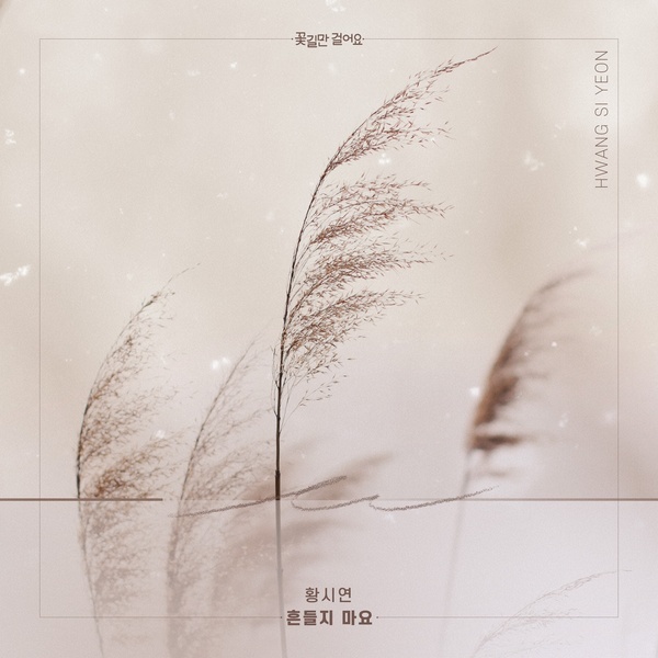 꽃길만걸어요 이미지