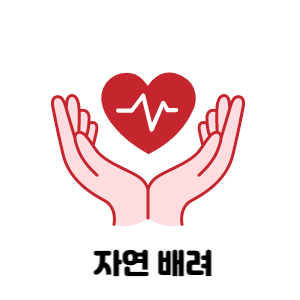 백대 이미지