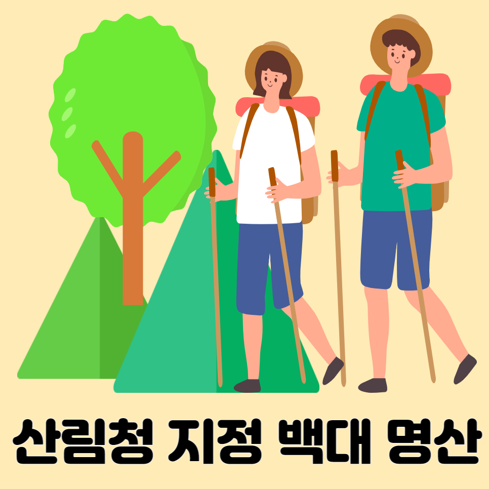 백대 이미지