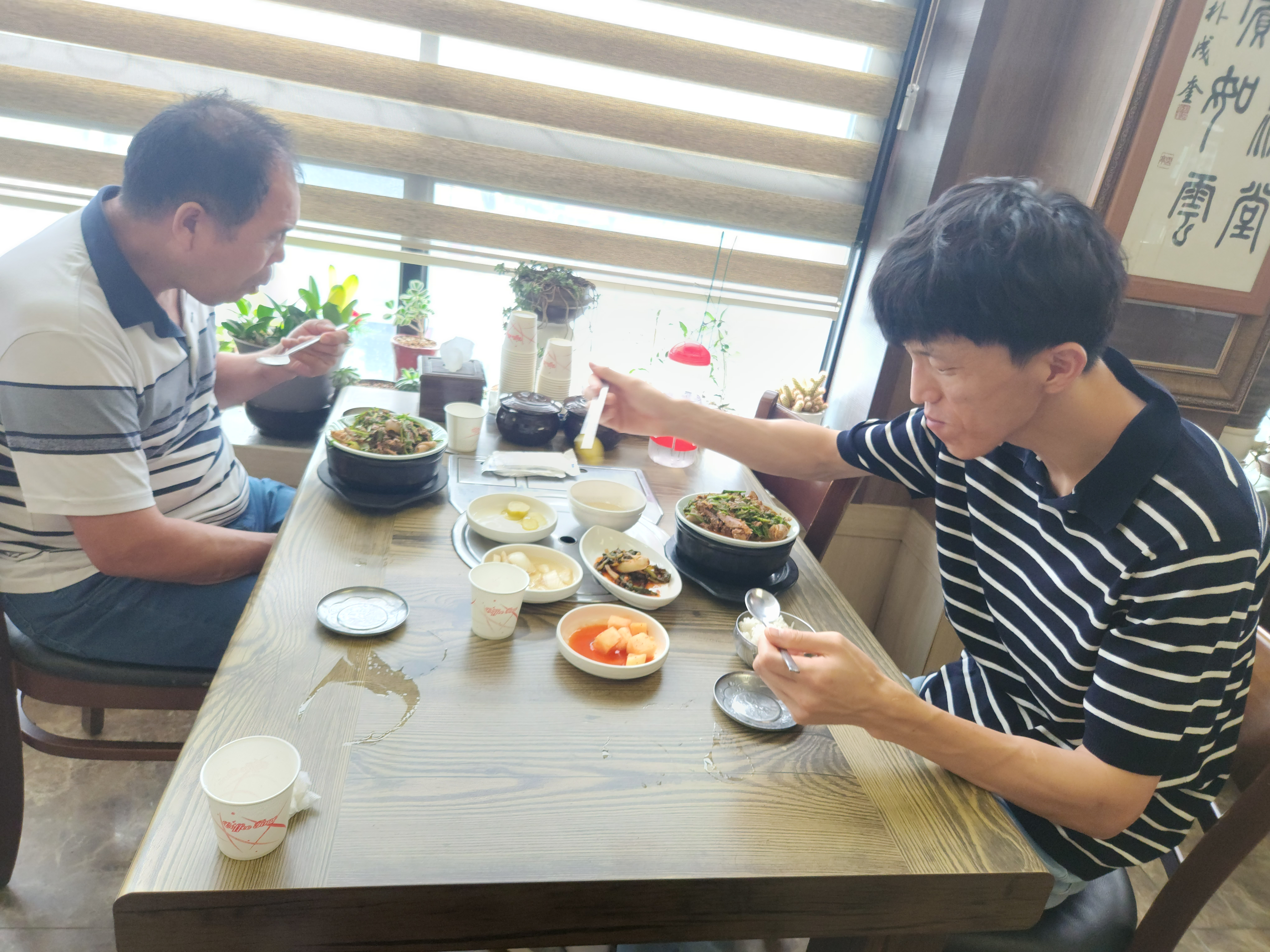 고봉흑염소 이미지
