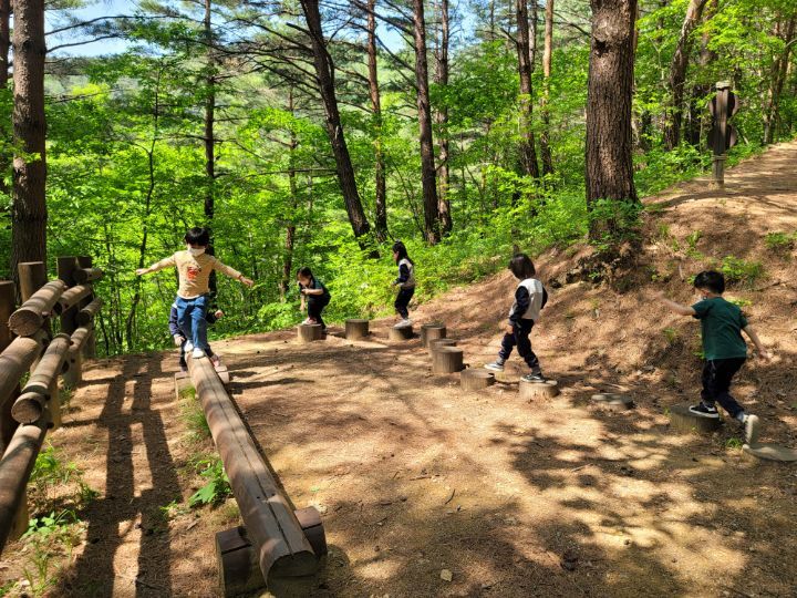 삼척동자 유아숲체험원 이미지
