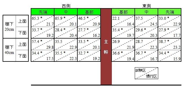 빛적산 이미지