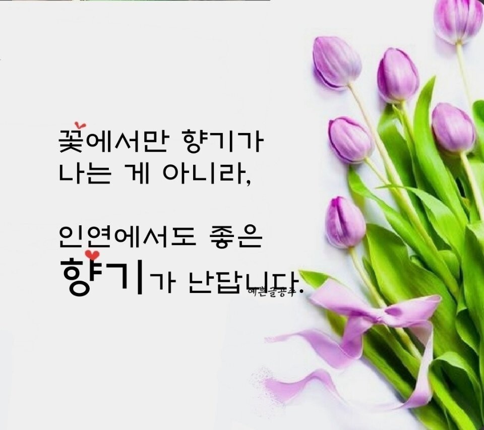 행복한 아침 이미지
