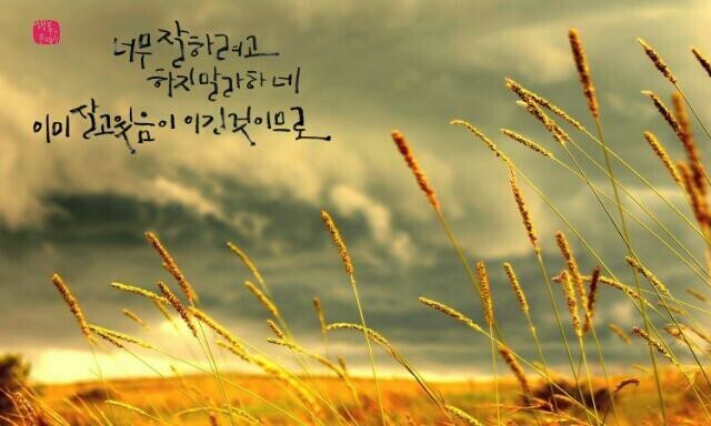 시샘달 이미지