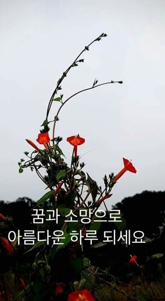 소망 이미지