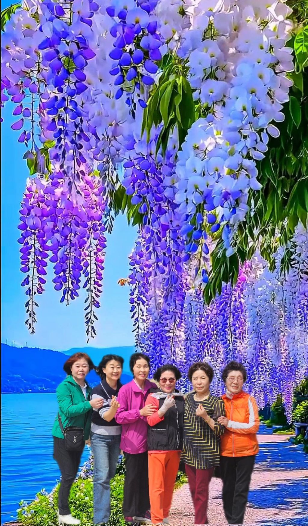 대한민국고엽제전우회 이미지