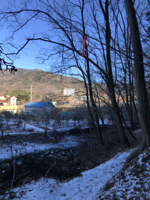 기쁜순례 이미지