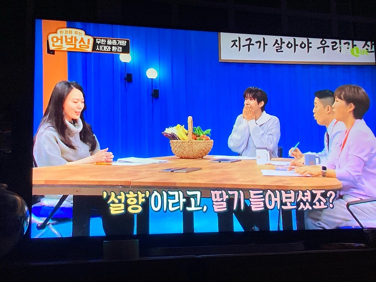 고추나라 이미지