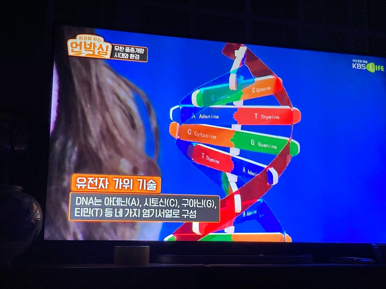 고추나라 이미지
