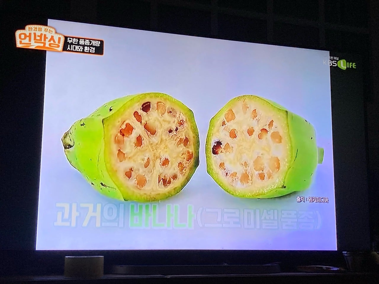 고추나라 이미지