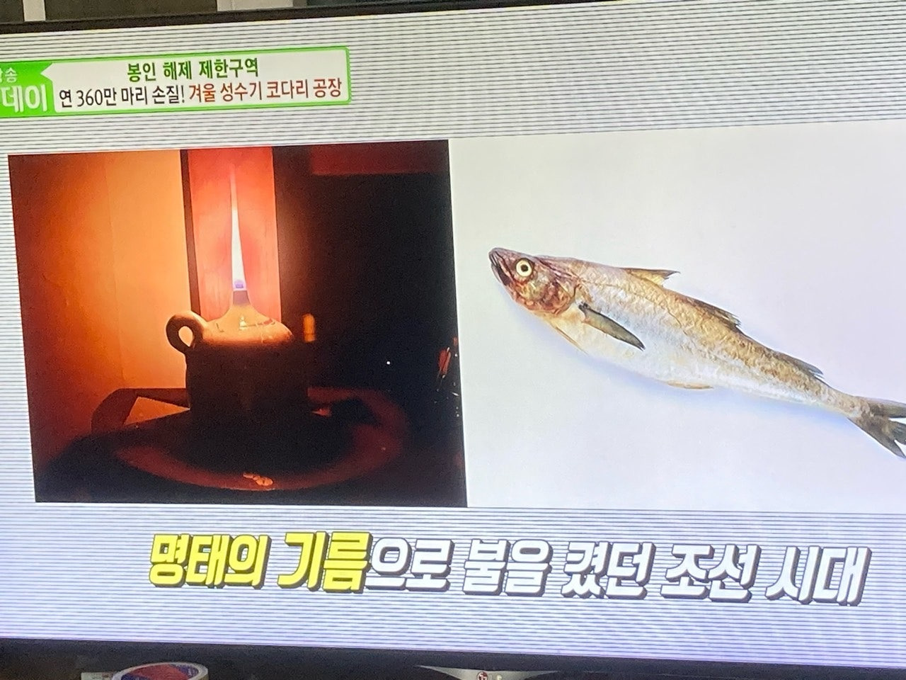 코다리 이미지