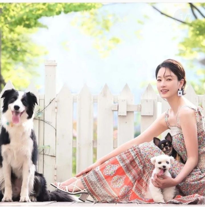 유기견 관련 봉사 꾸준히 하는 연예인들.jpg | 인스티즈