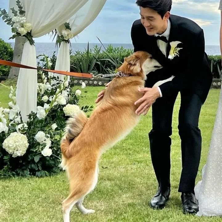 유기견 관련 봉사 꾸준히 하는 연예인들.jpg | 인스티즈