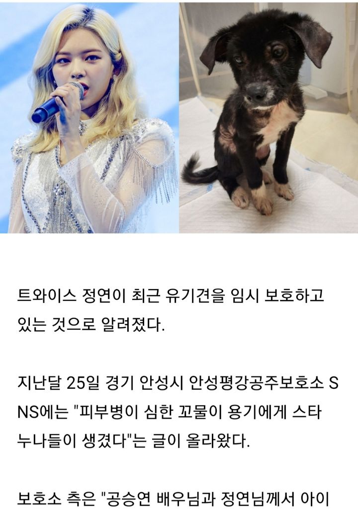 유기견 관련 봉사 꾸준히 하는 연예인들.jpg | 인스티즈