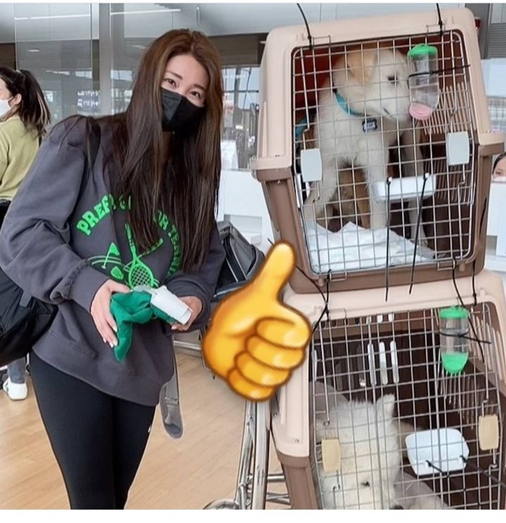 유기견 관련 봉사 꾸준히 하는 연예인들.jpg | 인스티즈