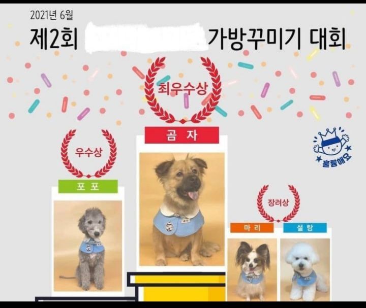 유기견 관련 봉사 꾸준히 하는 연예인들.jpg | 인스티즈