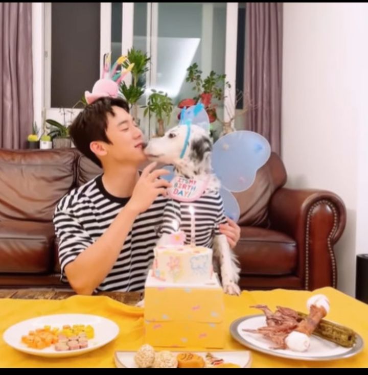 유기견 관련 봉사 꾸준히 하는 연예인들.jpg | 인스티즈