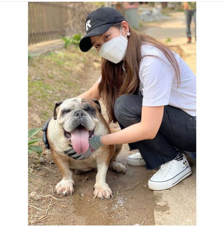 유기견 관련 봉사 꾸준히 하는 연예인들.jpg | 인스티즈