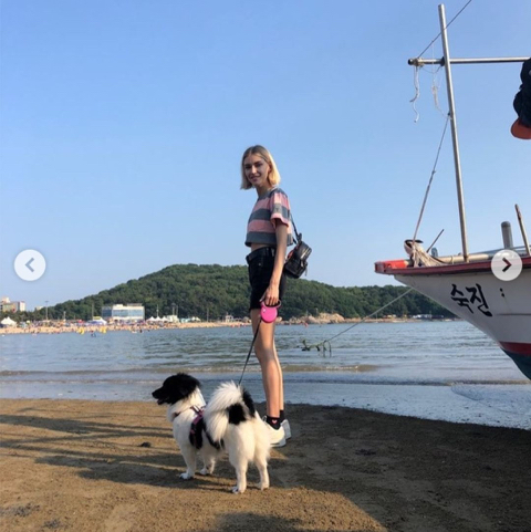 유기견 관련 봉사 꾸준히 하는 연예인들.jpg | 인스티즈