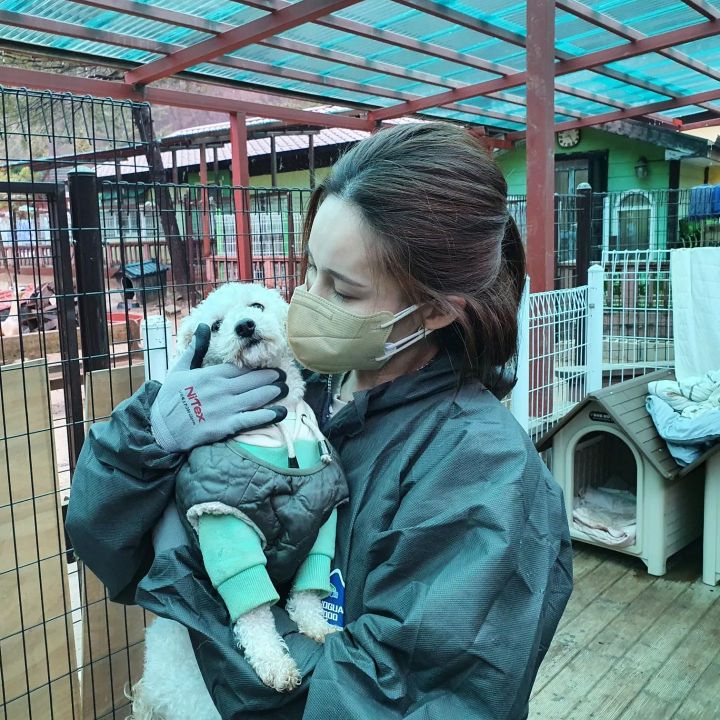 유기견 관련 봉사 꾸준히 하는 연예인들.jpg | 인스티즈