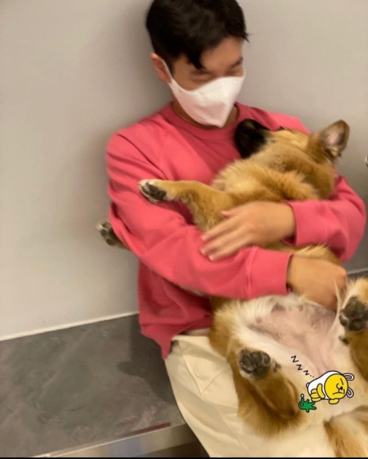 유기견 관련 봉사 꾸준히 하는 연예인들.jpg | 인스티즈