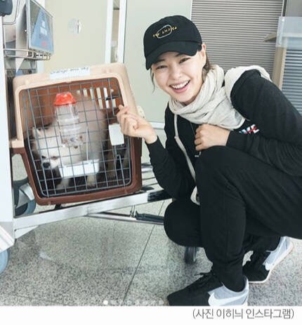 유기견 관련 봉사 꾸준히 하는 연예인들.jpg | 인스티즈