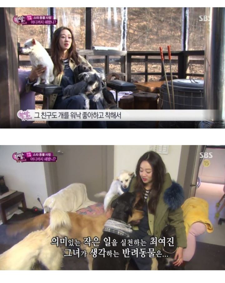 유기견 관련 봉사 꾸준히 하는 연예인들.jpg | 인스티즈