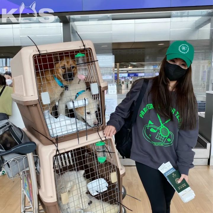 유기견 관련 봉사 꾸준히 하는 연예인들.jpg | 인스티즈