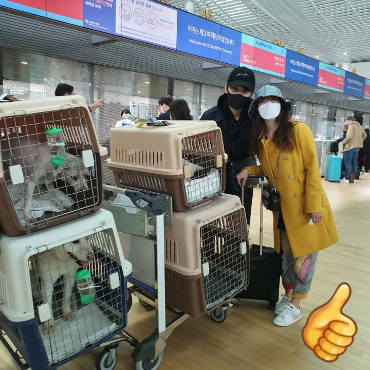 유기견 관련 봉사 꾸준히 하는 연예인들.jpg | 인스티즈