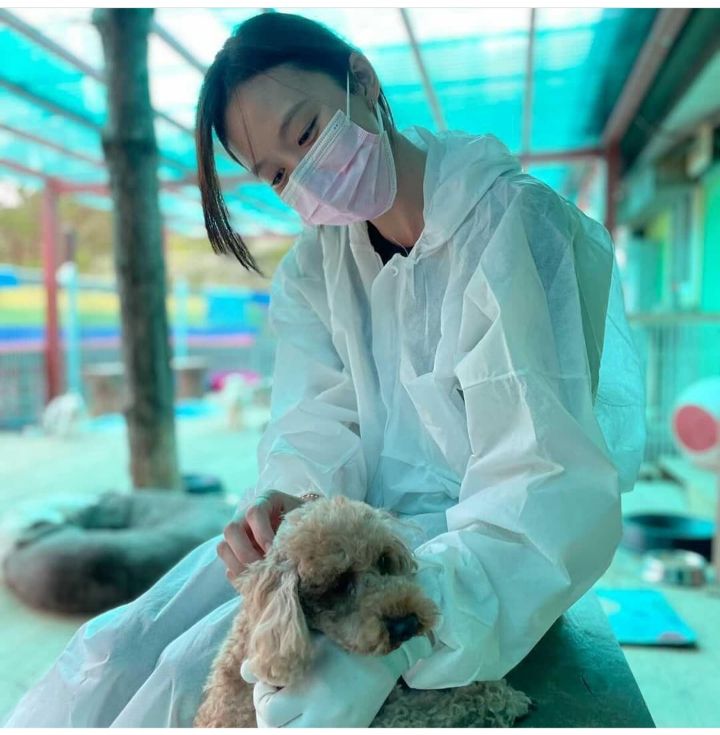 유기견 관련 봉사 꾸준히 하는 연예인들.jpg | 인스티즈