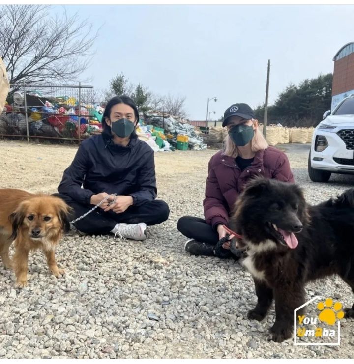 유기견 관련 봉사 꾸준히 하는 연예인들.jpg | 인스티즈
