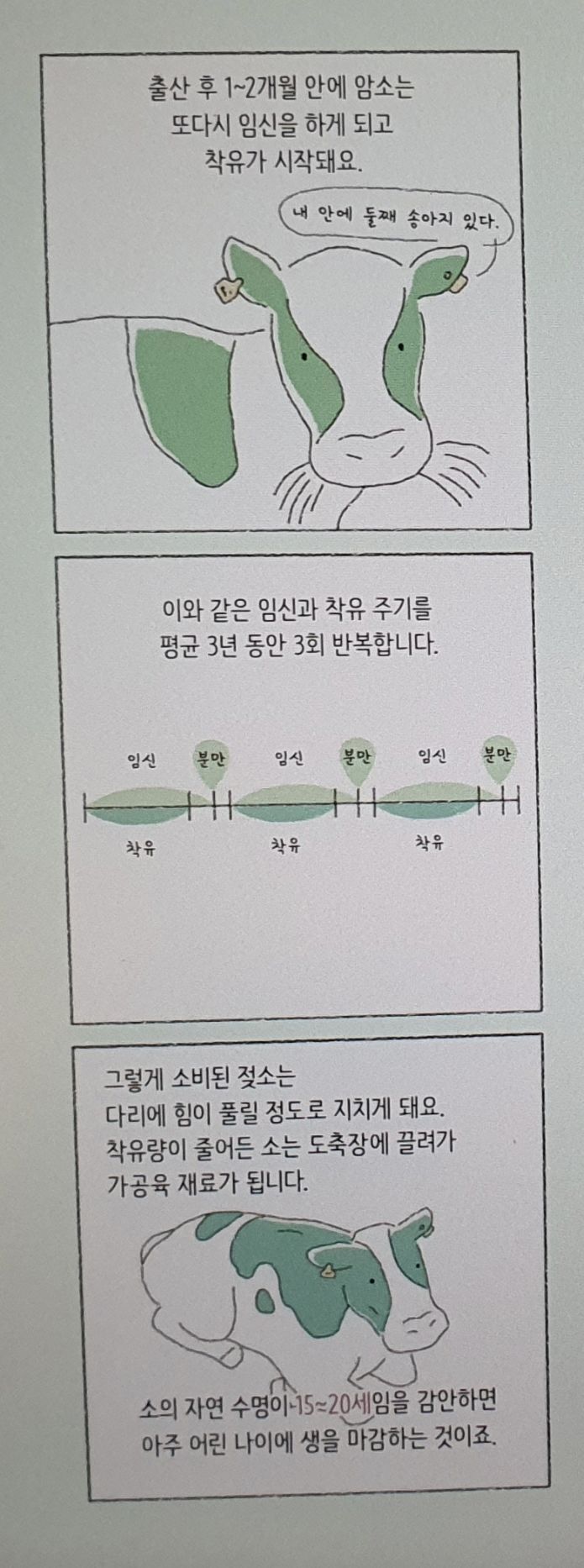 우유가 만들어지는 과정 | 인스티즈