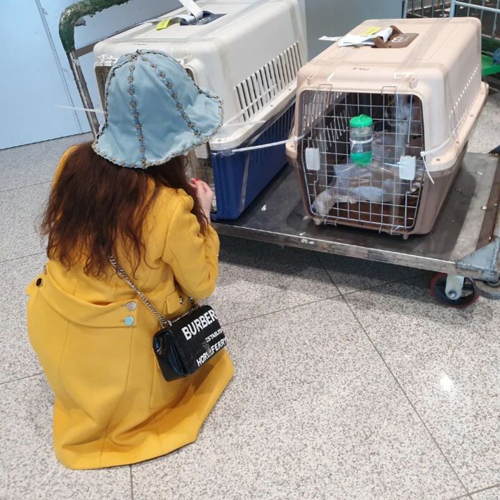 유기견 관련 봉사 꾸준히 하는 연예인들.jpg | 인스티즈