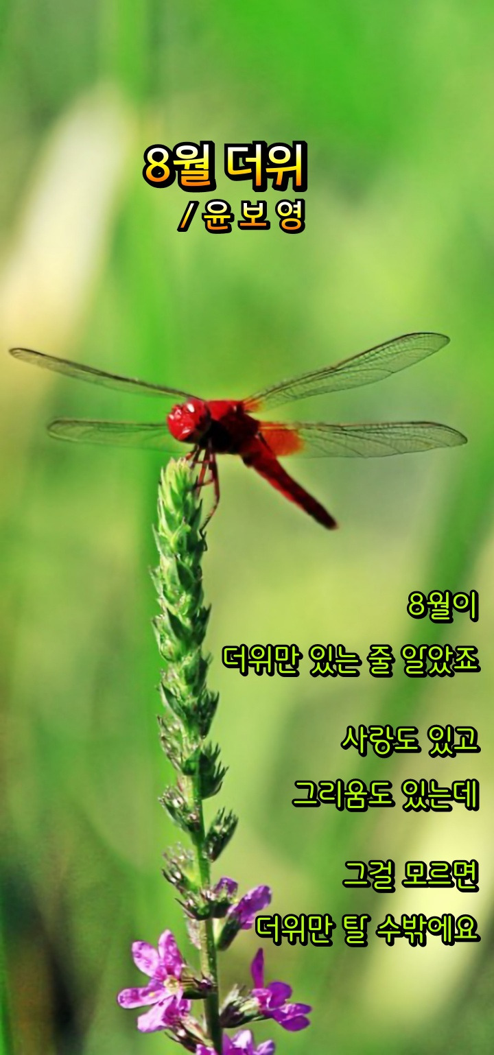 마수와 이미지