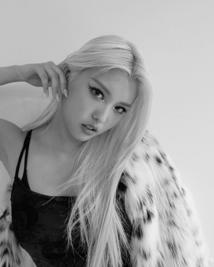 아인 이미지