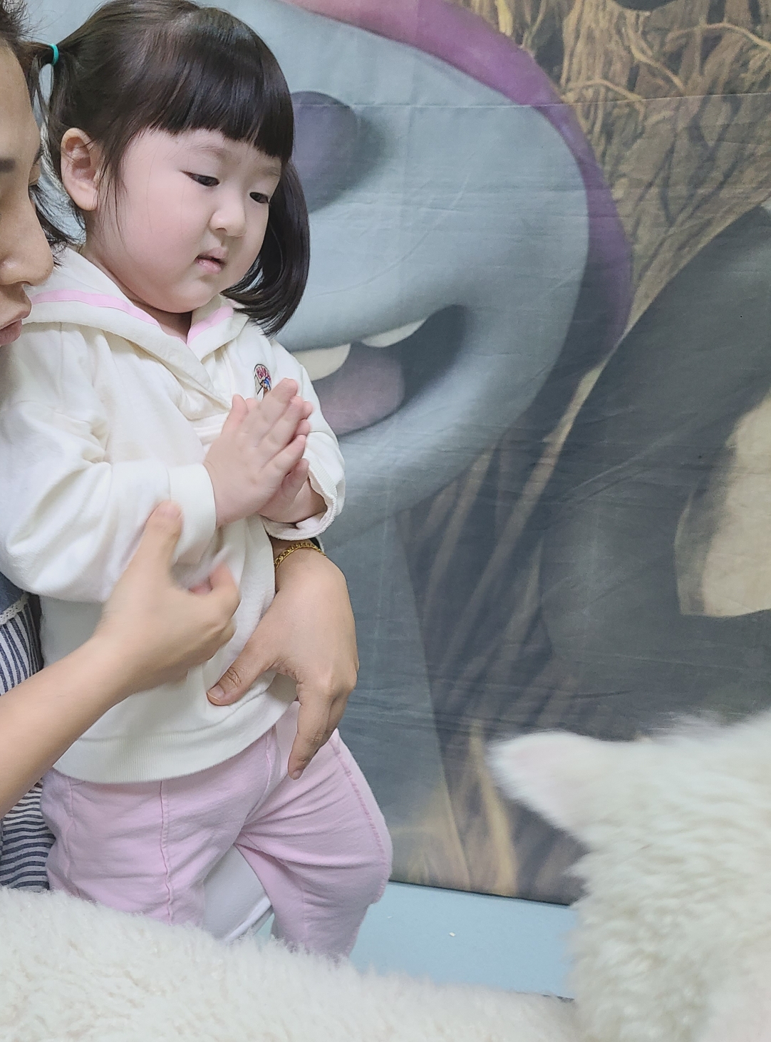 장수선인장 이미지