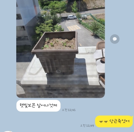 하윤이네 이미지