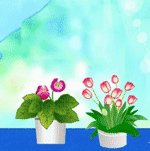 카페 프로필 이미지