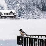 카페 프로필 이미지