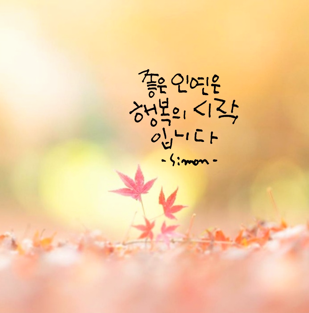 추억여행 이미지