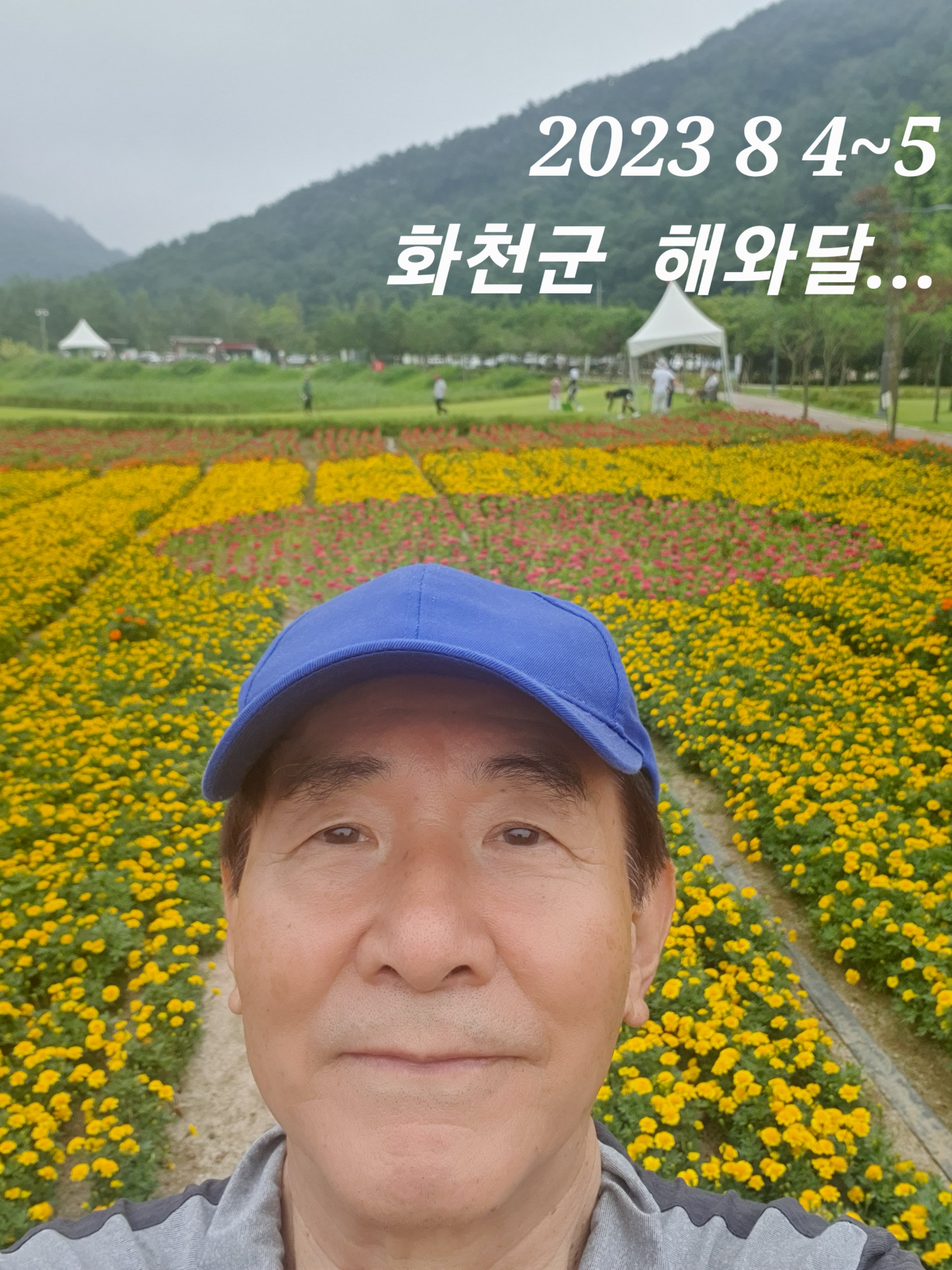해와달카페 이미지